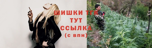СК Волосово