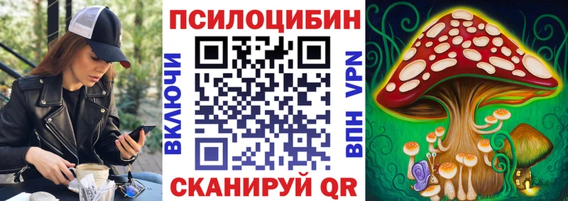 Купить закладки  Новопавловск  Псилоцибиновые грибы GOLDEN TEACHER 